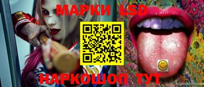 дмт Нальчик