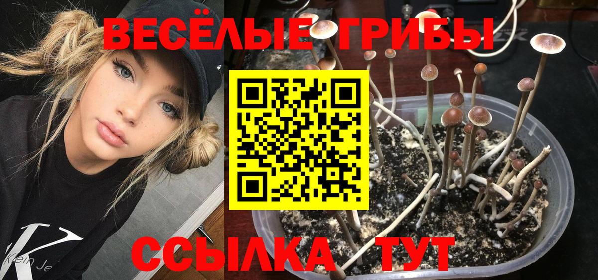 Псилоцибиновые грибы Cubensis  Псилоцибиновые грибы MAGIC MUSHROOMS  Серпухов  Вход с VPN 